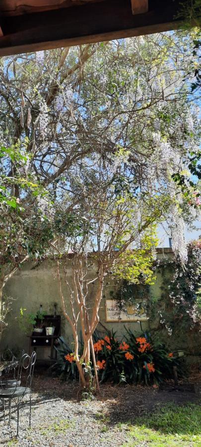 Casa En Barrio Historico Villa Colonia del Sacramento Eksteriør bilde